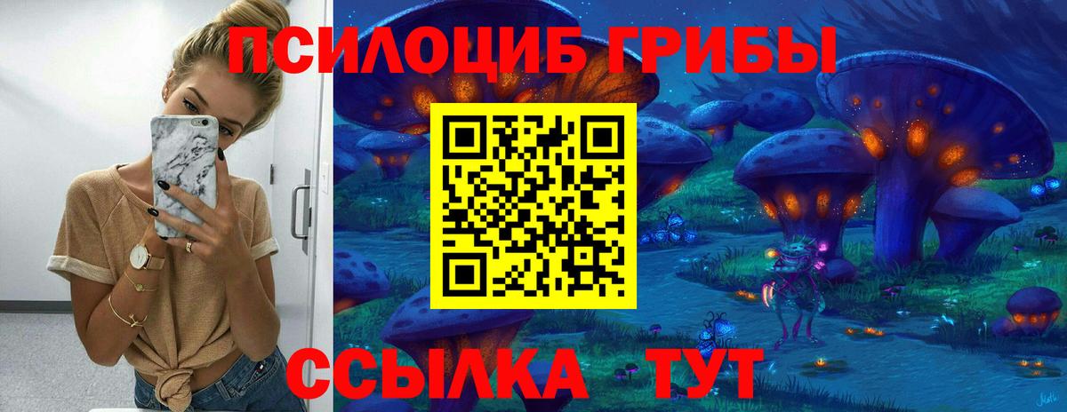 Галлюциногенные грибы Psilocybe Жигулёвск
